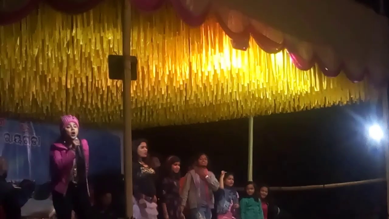 Asima panda performance