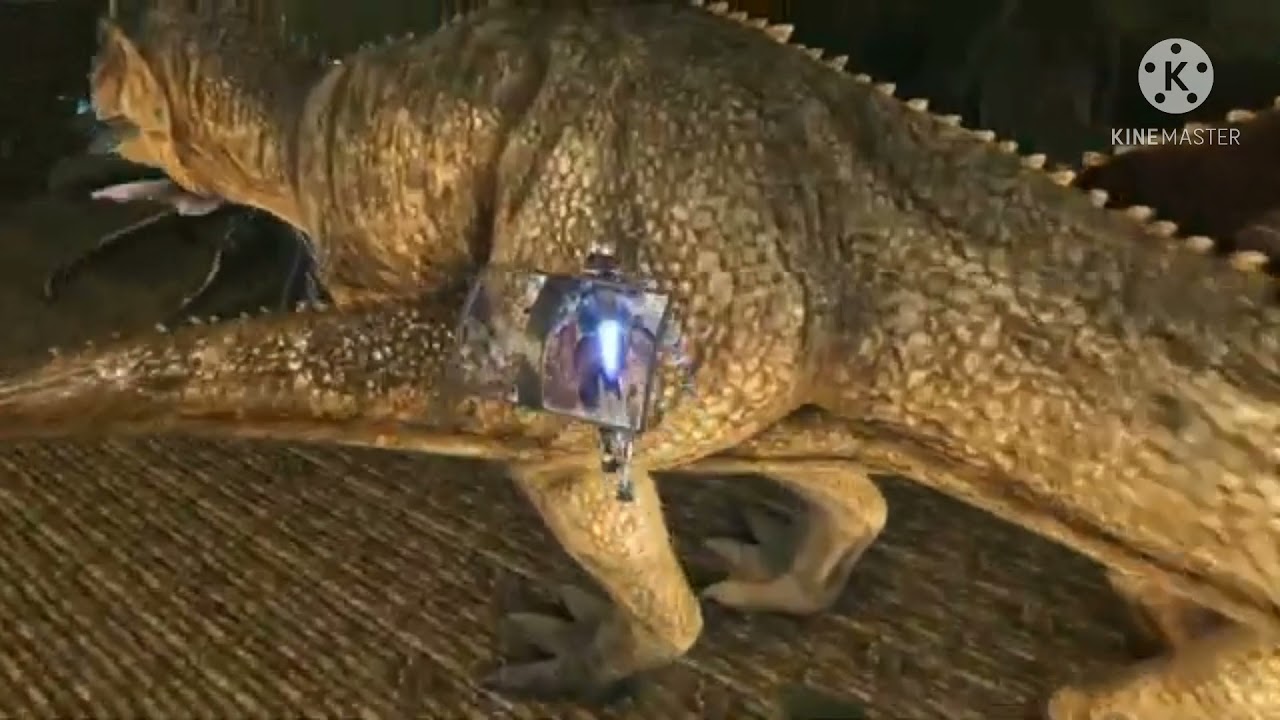 Ark day5 base tour on doom 3man base tour KOT OP on top #kings#doom#storm