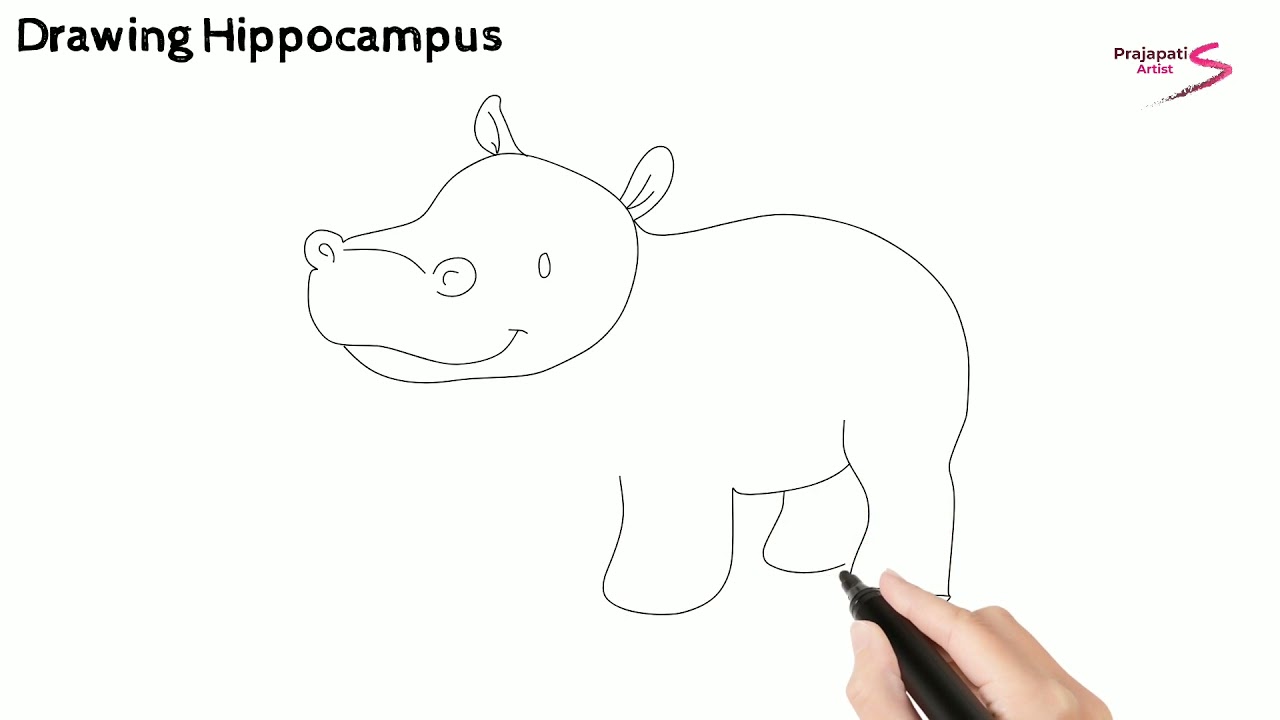 how to draw hippopotamus | how to draw hippopotamus easy | hippopotamus drawing