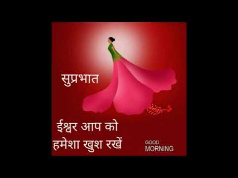 good  morning ???