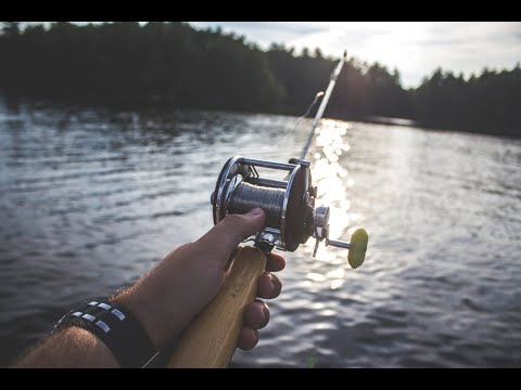 Top 5 Big Fish Caught in The Sea are Recorded By Cameras - Amazing Big Fish