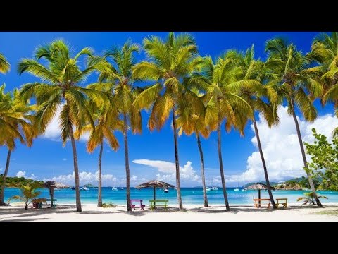A Day At The Beach