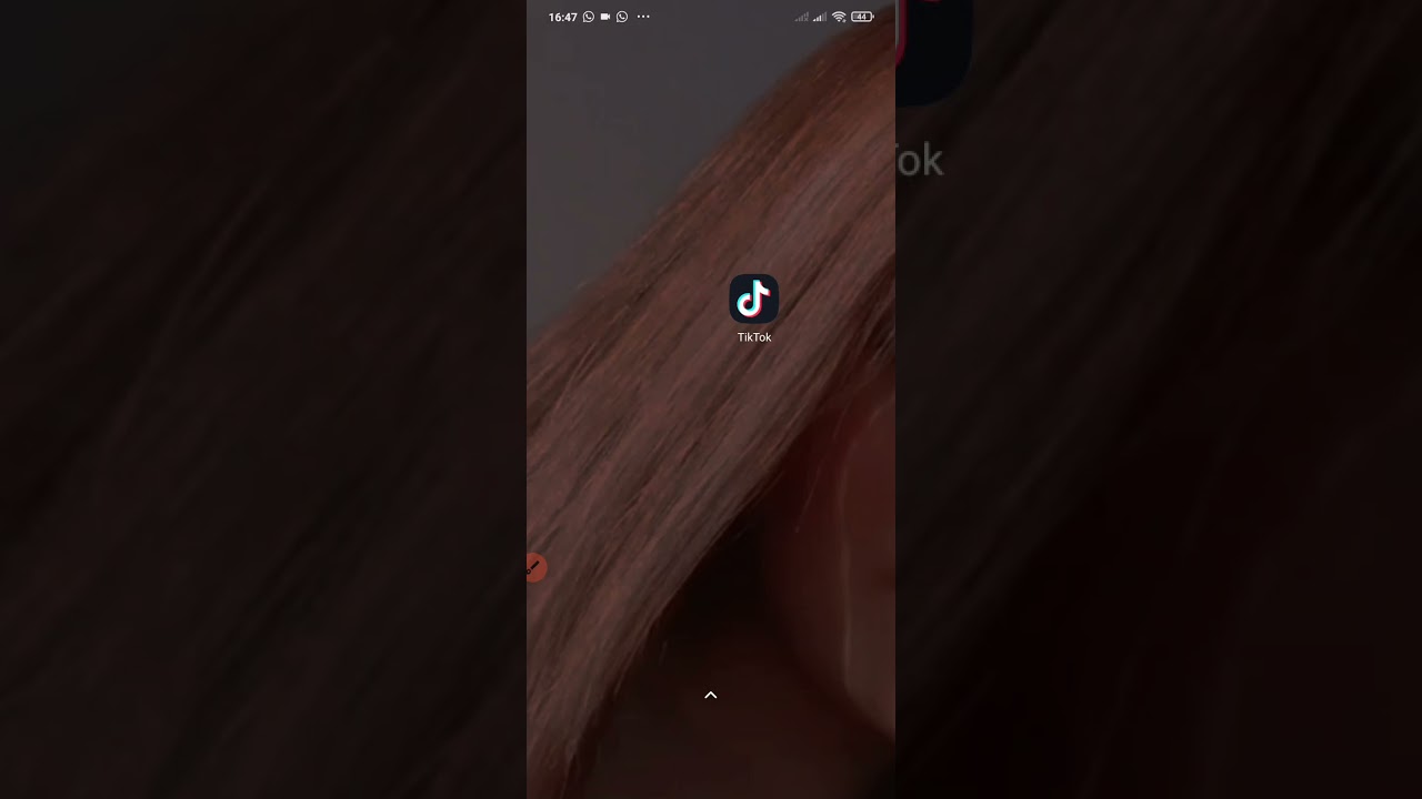 GANHE SEGUIDORES NO TIKTOK ?#seguidores#tiktok