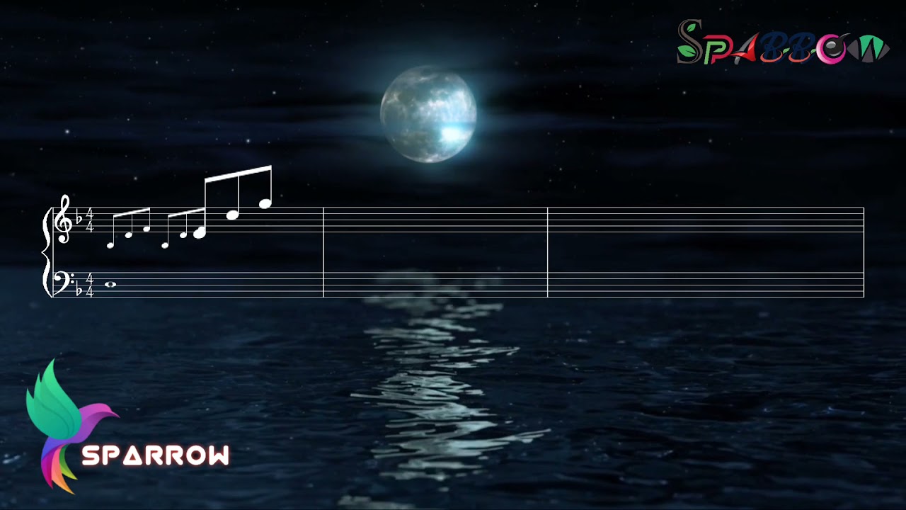 Relaxing Piano Music for sleep │Peaceful Piano Music │ Sparrow Meditation