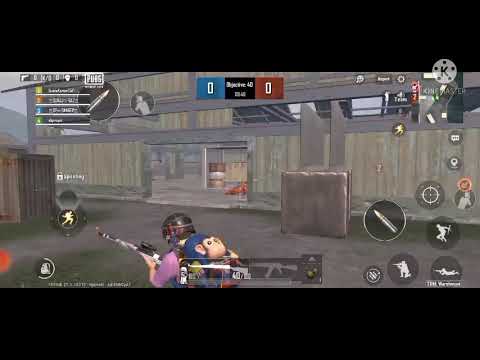 Best K-9 Shots