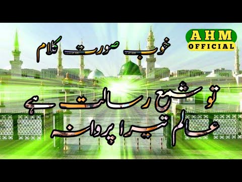 New naat 2021 tu sham e risalat hai aalm tera parwana by ali husen mahboobi