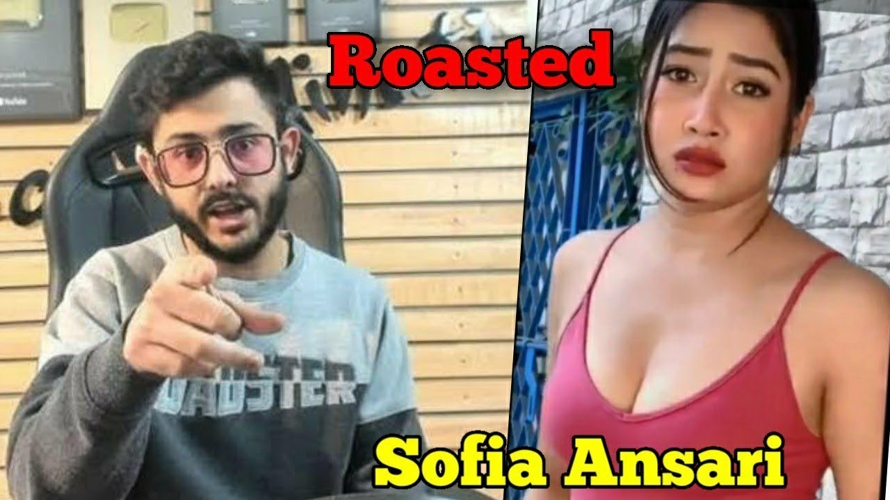 carryis duplicate Sofia ansari tik tok queen roast video ??