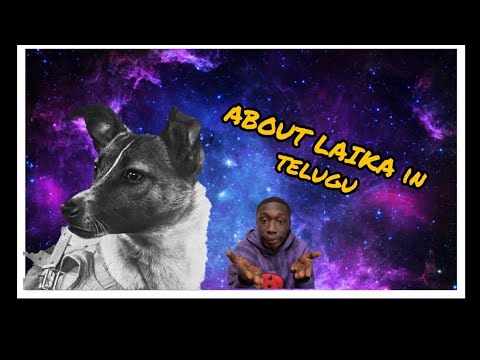 About laika in telugu/Ankith official