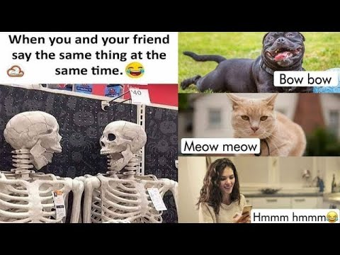 ?School Memes? ?Hilarious Memes? ?Relatable Memes? ?Memes That Only Students Will Understand#