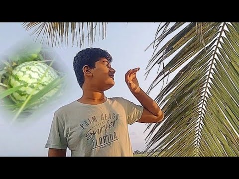 Bina season ke hi water- melon kahase aaya....!!#yashgvlogs#vlogs #farm #season #watermelon