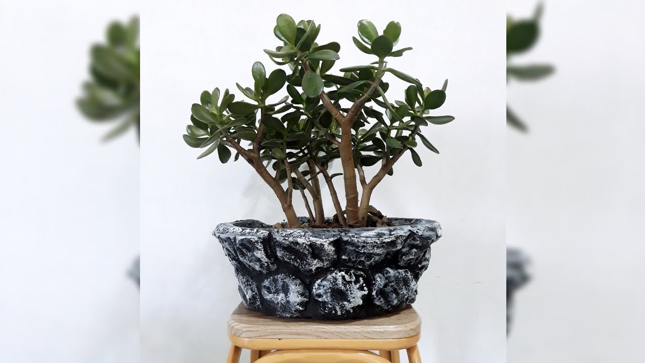 How to make Bonsai pot| easy making