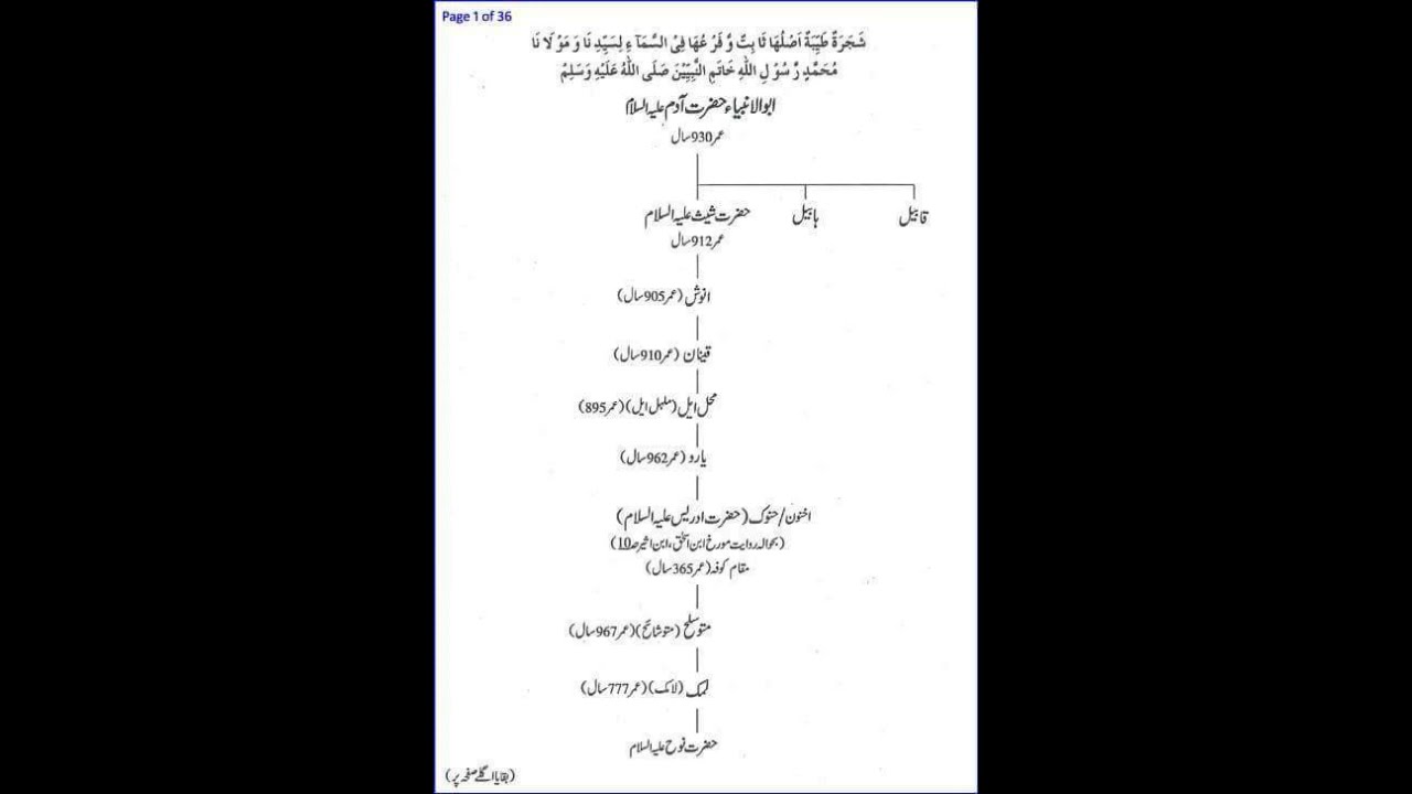 Hazrat Adam as se ley kr Hazrat Muhammad PBUH by Waseem Point TV