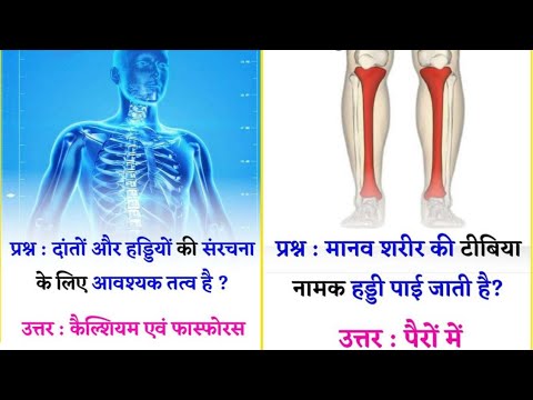 SSC GD 19 November shift 1 analysis Questions/GK GS QUESTIONS in hindi/SSC GD 2021 Gk Gs analysis
