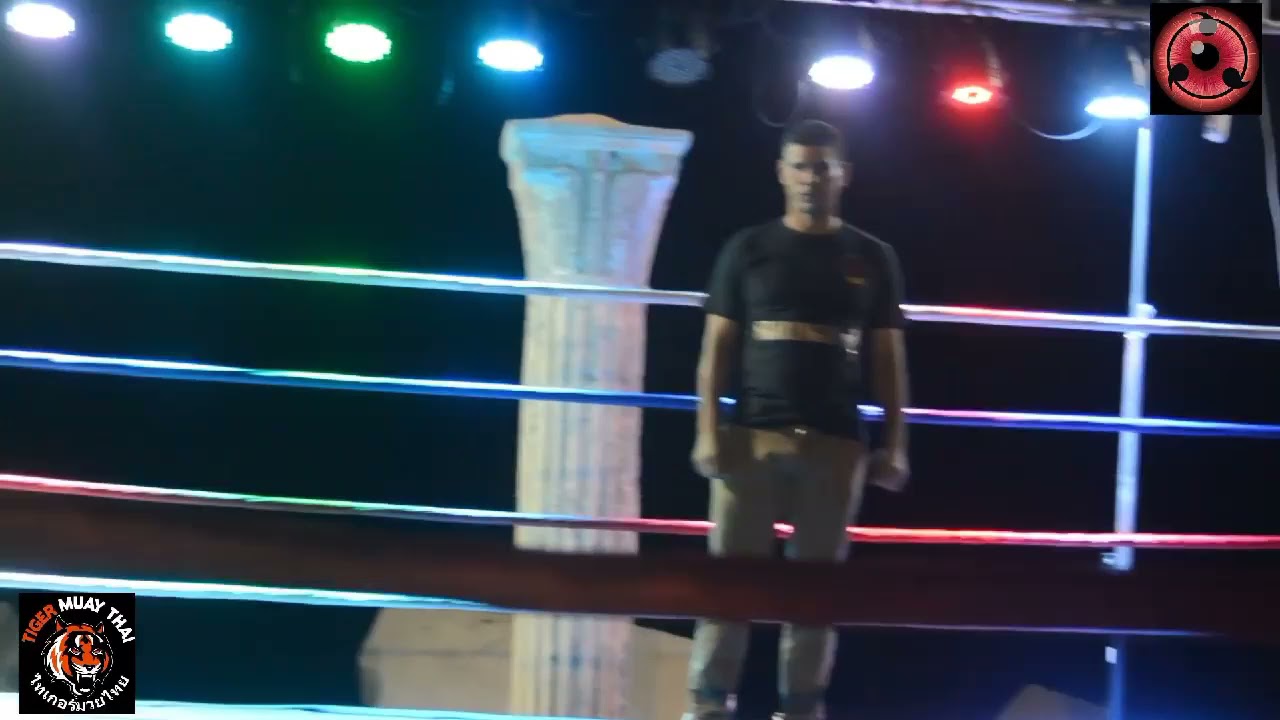muay thai pro (Spartacus)