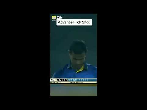 cricket tiktok video