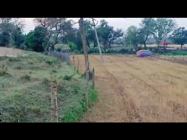New vlog my khet ka - my beautiful vlog video