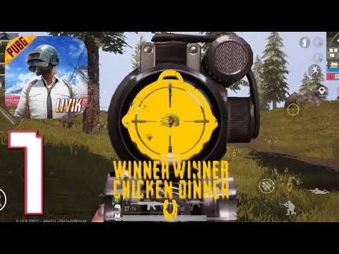 BGMI Livik me winner winner chicken dinner || BGMI gameplay Golden player