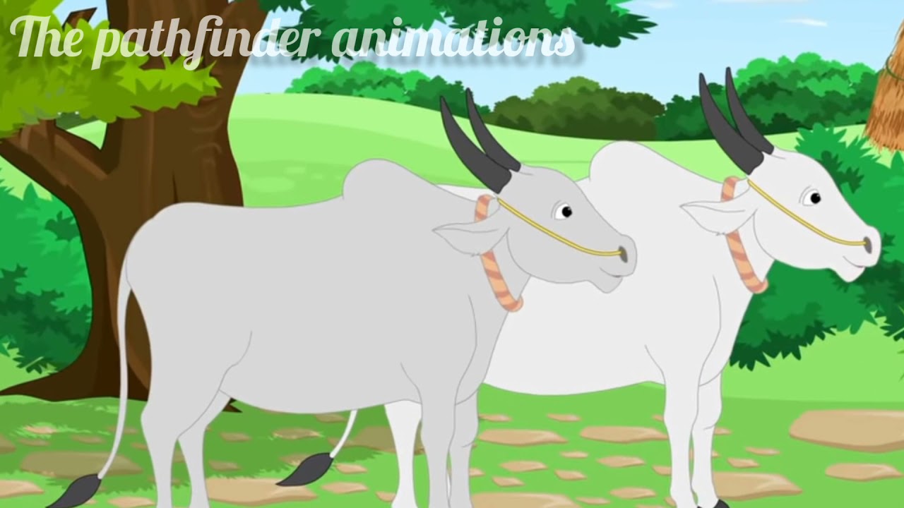 कक्षा 9 क्षितिज पाठ 1 दो बैलों की कथा || (animated)cbse full chapter || The pathfinder animations