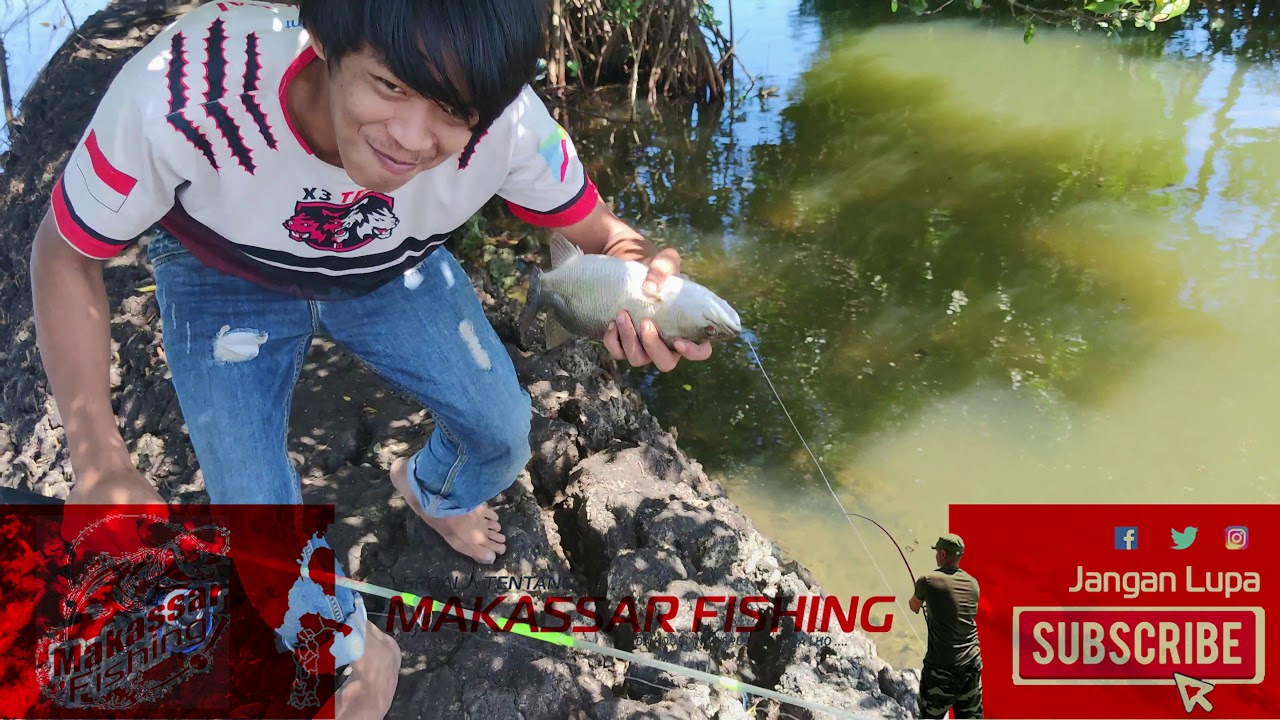 Mancing Makassar - Pesta Barramundi   Salamata - Koordinat Spot Mancing - Kakap putih Gratis