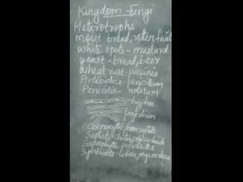 Biological classification - kingdom Fungi