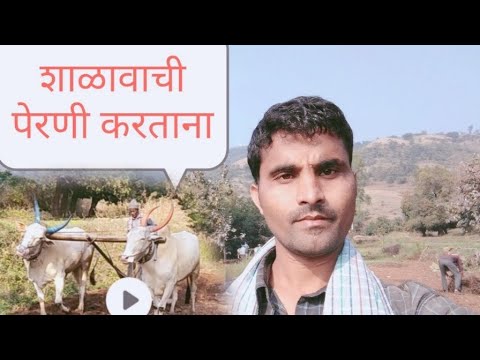 शाळवाची पेरणी करताना# गाव लय भारी आम्ही शेतकरी, "YOUTUBE CHAINAL"  चैनल सब्स्काईब करा