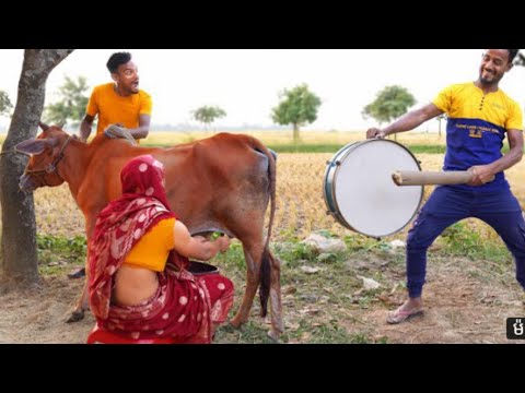 Must watch funny videos 2021