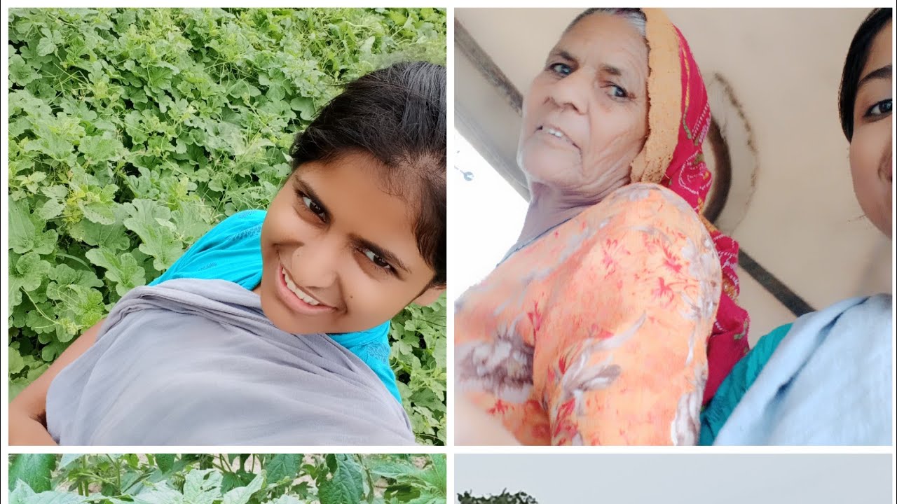 आज हमने खेत में क्या काम किया ???????