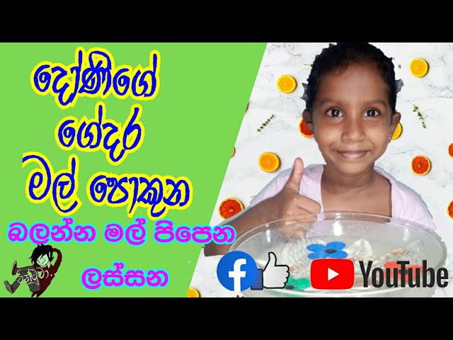 kids pond දොානියගේ මල් පිපෙන පොකුණ