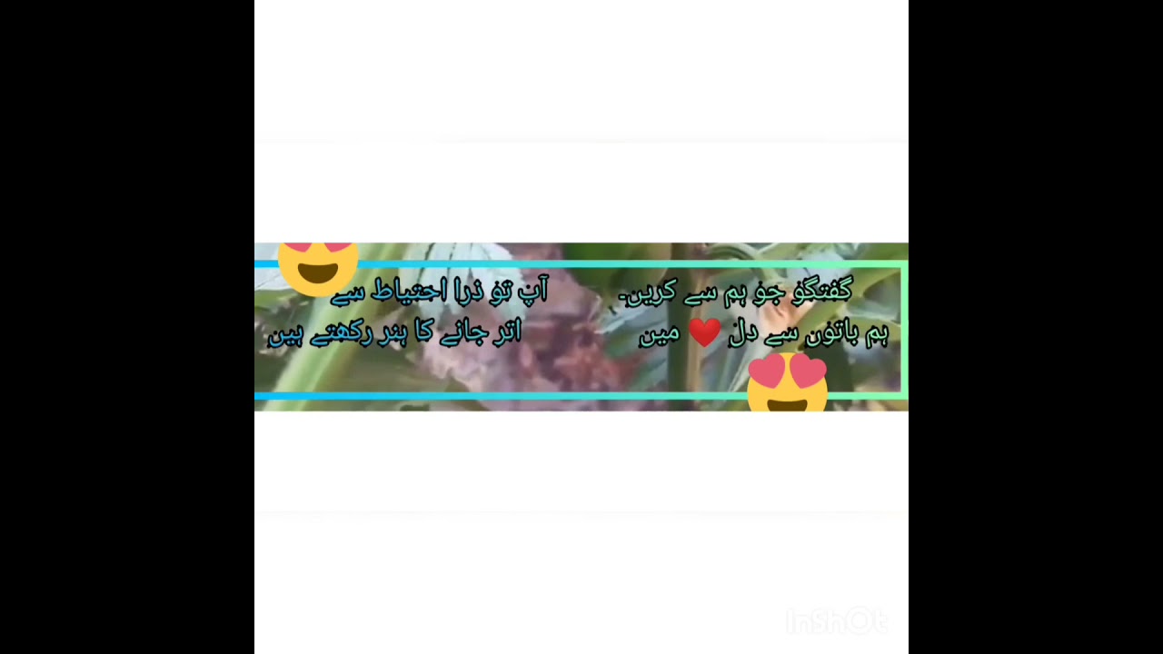 Urdu shayari
