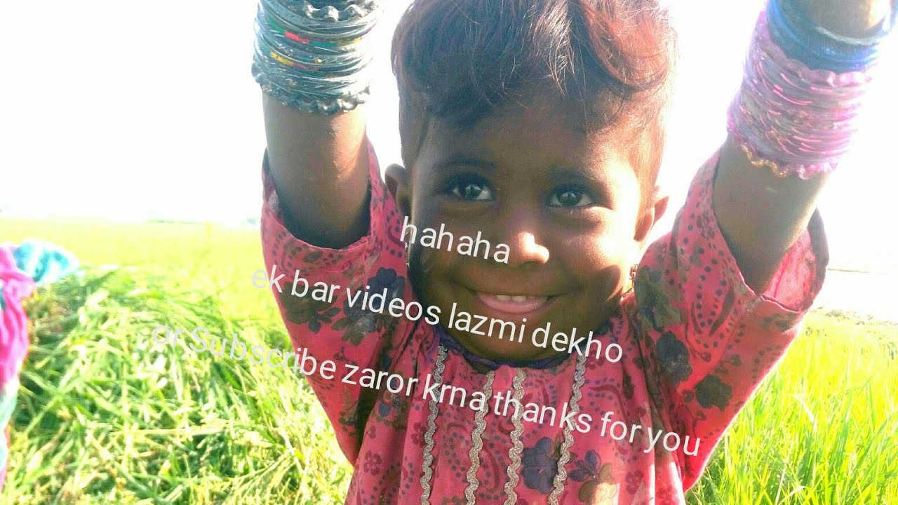 Funny videos---best---new--2021