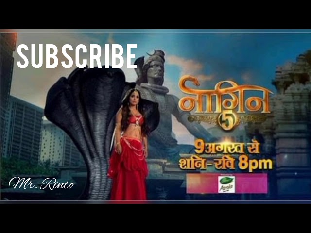 Naagin 5 Dil Ibadat Instrumental New Version Veer-Bani Background Music Mr. Rinto
