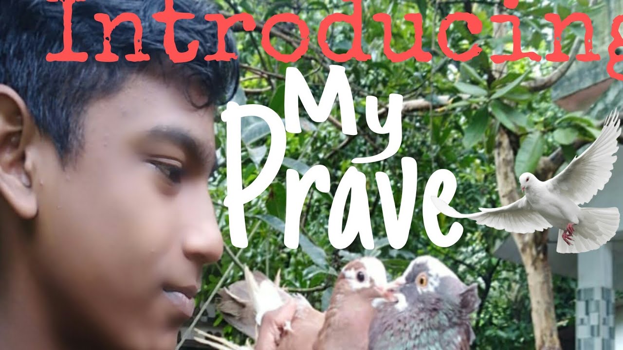 introducing my all prave by master world of J