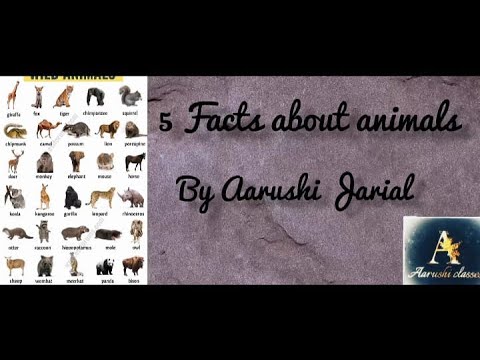Animals we know less about & which are less known