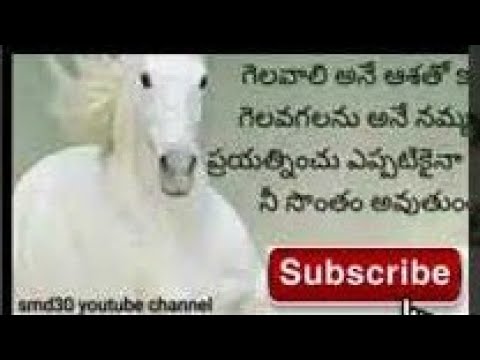 #short లైఫ్ కి బూస్ట్ లాంటి కొటేషన్ smd30 youtube channel