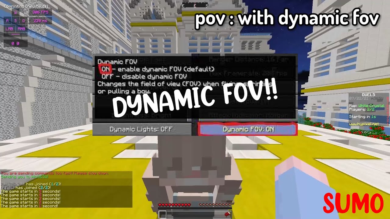 POV : YOU TRUN OFF YOUR DYNAMIC FOV