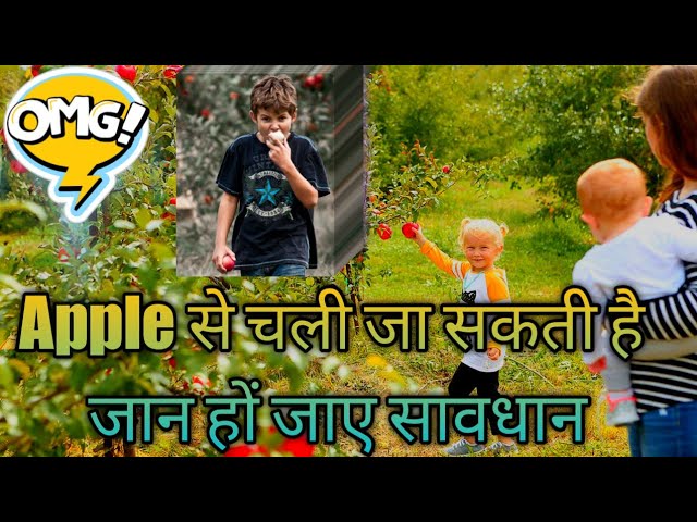 सेब के बीज में क्या होती है जहर ll सेब के कितने बीज खाने से क्यों मर सकता है व्यक्ति ll seeds effect