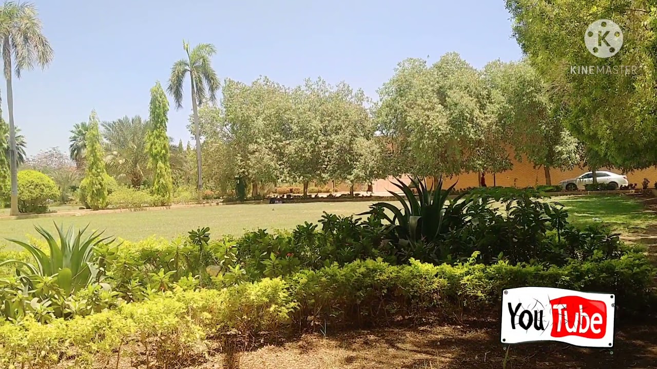 views in university of africa,walang magawa habang ng aantay sawala,let's video silent muna.