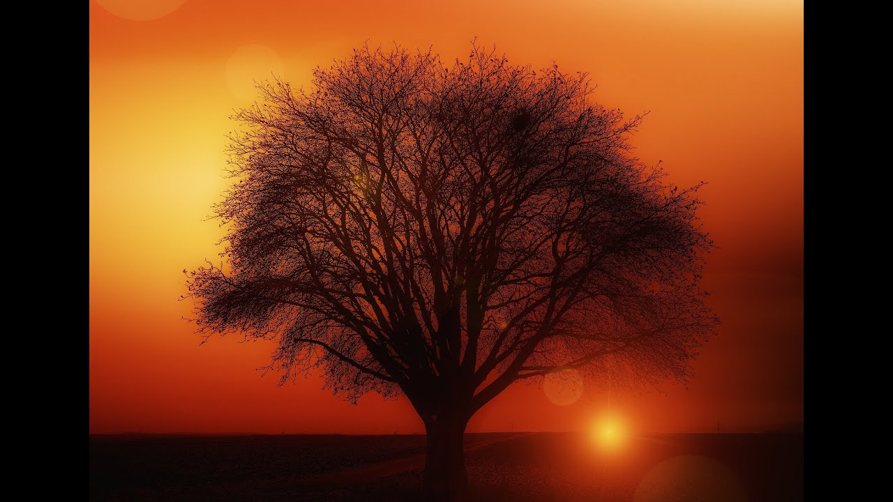 FALL INTO SLEEP INSTANTLY🌙🌛⭐RELAXING MUSIC TO REDUCE ANXIETY AND HELP YOU SLEEP⭐🌛🌙