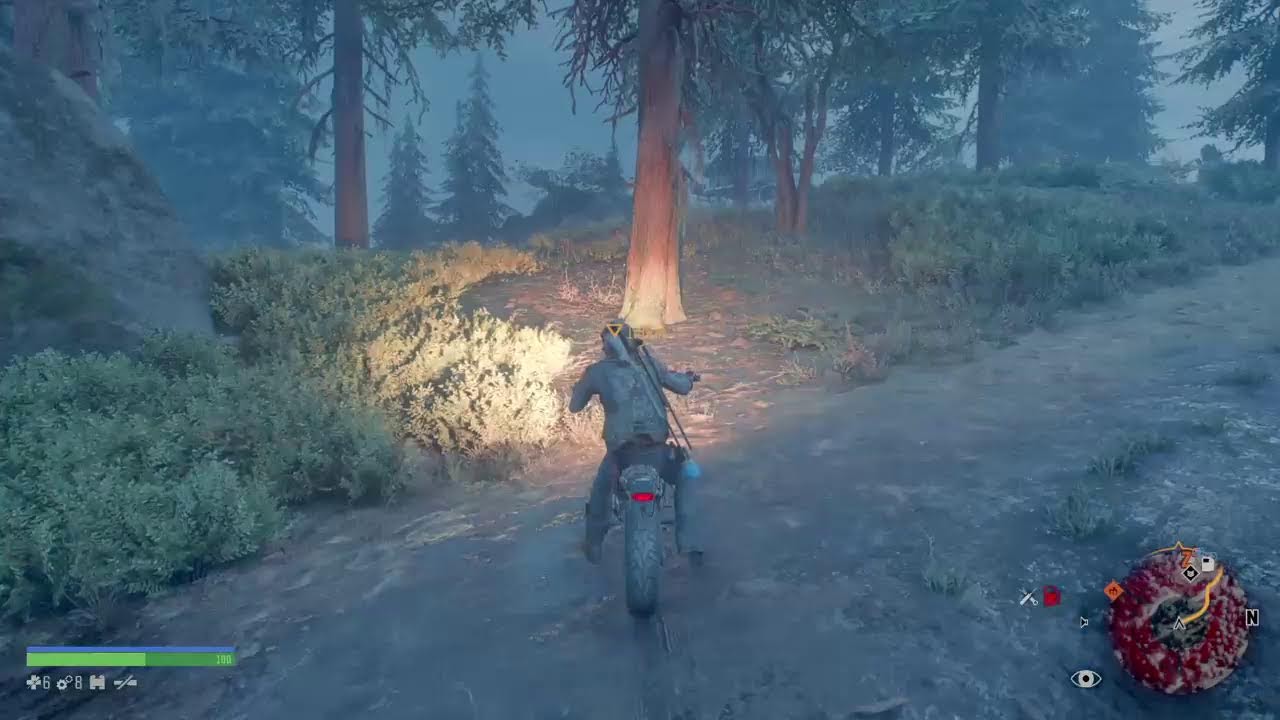 Live days gone #4