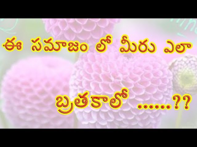 నేటి సమాజం లో ఎలా బ్రతకాలో ఈ వీడియో ద్వారా తెలుసుకోండి