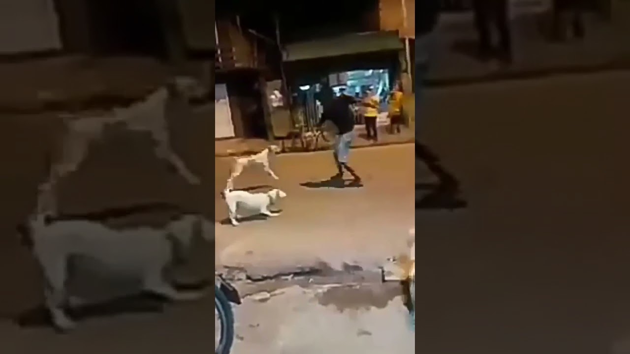 Bruce Lee Hindistan versiyonu