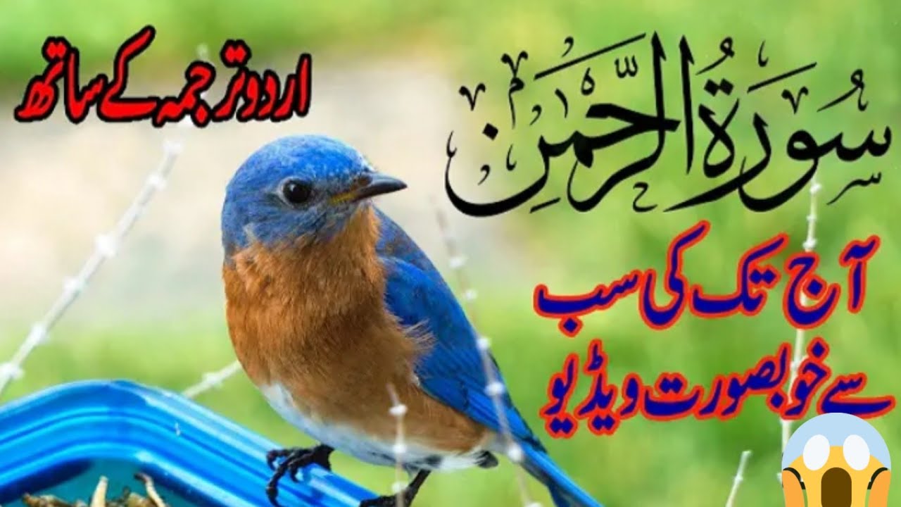 Surah Rhaman With urdu Translation dill ka meriz banda na deakha ?#trending #shorts #quran