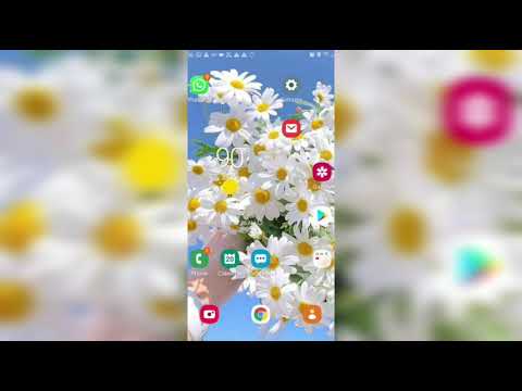 how to make a youtube channel/Instagram account (life with quanny) must watch