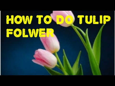 how to make tulip flower