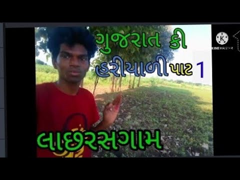Gujarat ki Hariyali????
